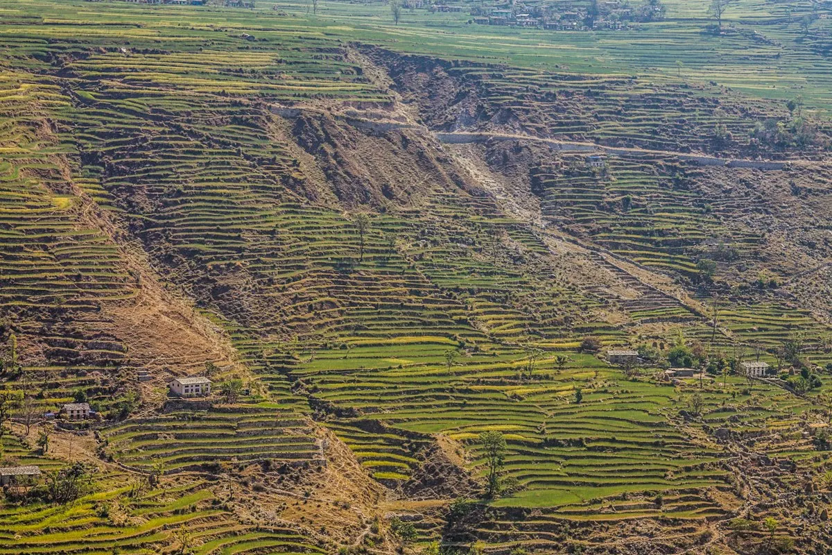 Khet-Bari Punarsthapana