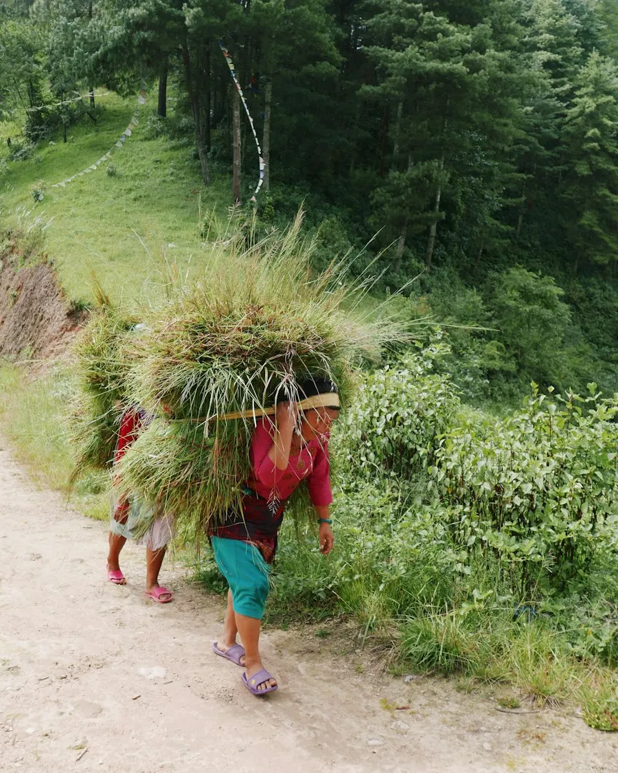 A Nepali organisation working for the land and the people who live on it